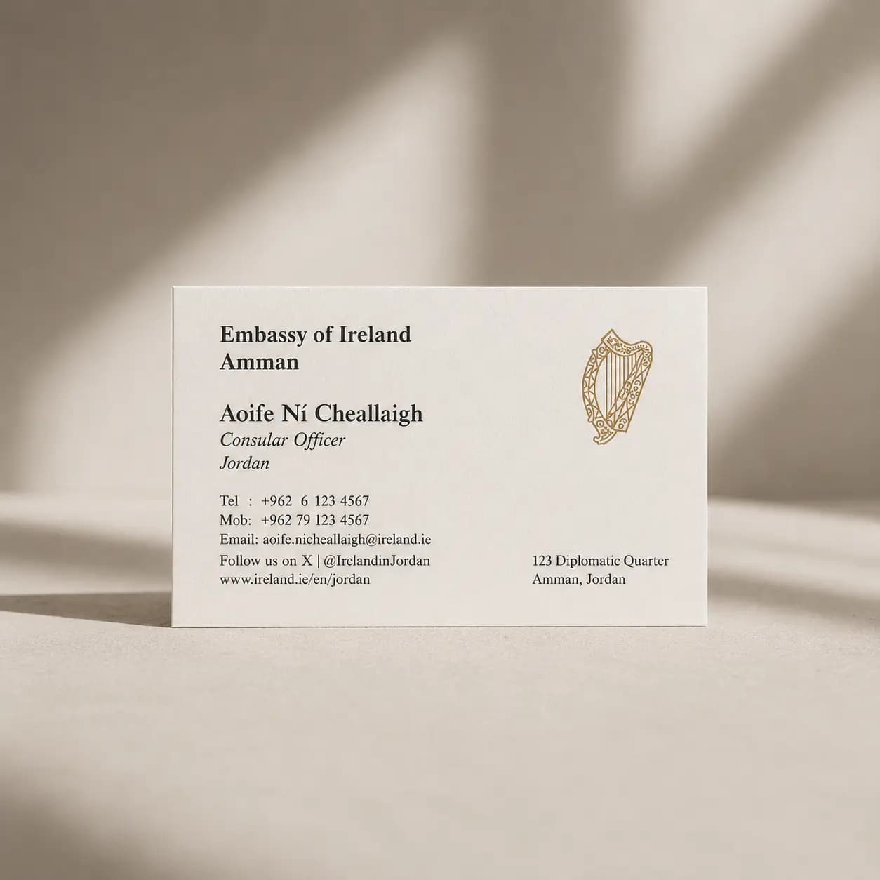 Embassy of Ireland — Stationery & Bags